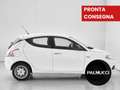 Lancia Ypsilon 1.2 69 CV 5 porte Silver - thumbnail 3