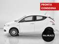 Lancia Ypsilon 1.2 69 CV 5 porte Silver - thumbnail 4