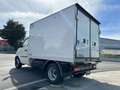 Piaggio Porter LPG TW300 long range Top REFRIGERANTE THERMOKING Weiß - thumbnail 4