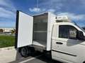 Piaggio Porter LPG TW300 long range Top REFRIGERANTE THERMOKING Weiß - thumbnail 7