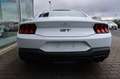 Ford Mustang Fastback GT 5.0 V8 NEUES MODELL Bianco - thumbnail 9