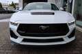 Ford Mustang Fastback GT 5.0 V8 NEUES MODELL Bianco - thumbnail 3