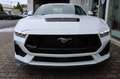 Ford Mustang Fastback GT 5.0 V8 NEUES MODELL White - thumbnail 3