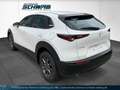 Mazda CX-30 L SKYACTIV-G 2.0 122PS M Hybrid 6GS Mazda CX-30 L Weiß - thumbnail 5