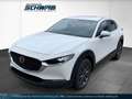 Mazda CX-30 L SKYACTIV-G 2.0 122PS M Hybrid 6GS Mazda CX-30 L Weiß - thumbnail 1