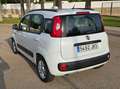 Fiat Panda Panda 1.3 Mjt Lounge E5+ Lounge Blanco - thumbnail 4