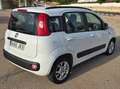 Fiat Panda Panda 1.3 Mjt Lounge E5+ Lounge Blanco - thumbnail 3