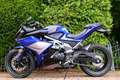 Yamaha YZF-R125 TRMOTOR 125 GP-ONE [A1 A2] Bleu - thumbnail 4
