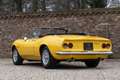 Fiat Dino 2000 Spider PRICE REDUCTION Nice driver's conditio Gelb - thumbnail 2