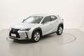 Lexus UX 250h Hybrid Business 2.0 Full Hybrid 184CV Argent - thumbnail 1