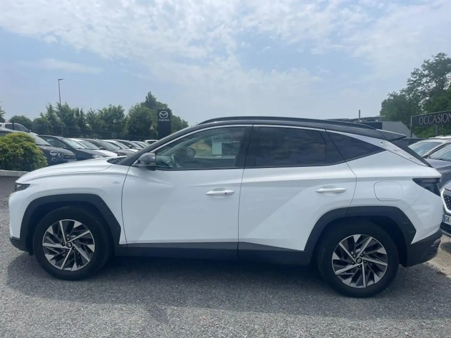 Hyundai TUCSON 1.6 T-GDi 150ch Hybrid 48V Creative DCT7 Blanc - 2