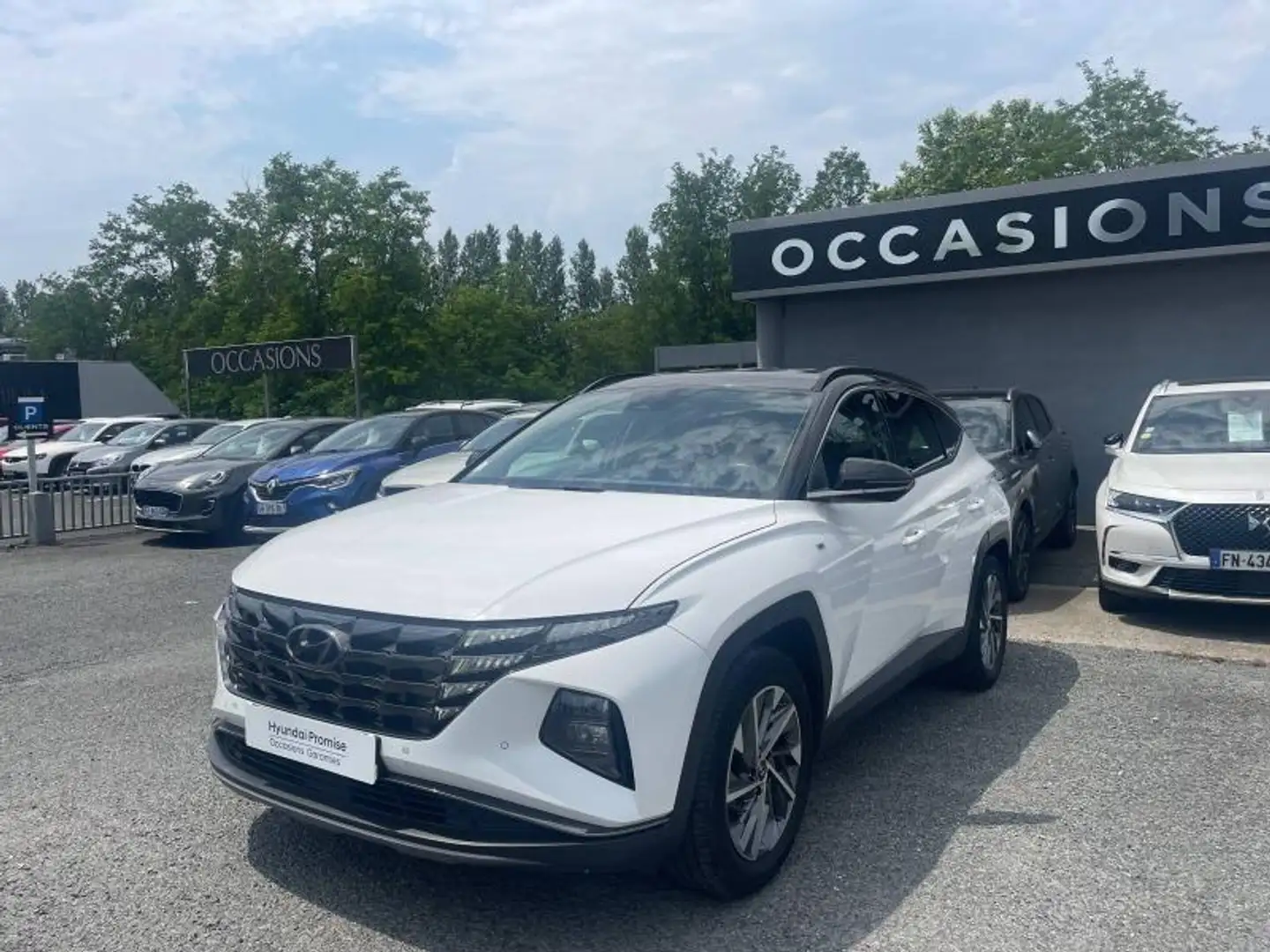Hyundai TUCSON 1.6 T-GDi 150ch Hybrid 48V Creative DCT7 Blanc - 1