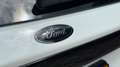 Ford Explorer 3.0 V6 EB PHEV ST-LINE BLACK EDITION / RAPTOR GRIL Blanc - thumbnail 11