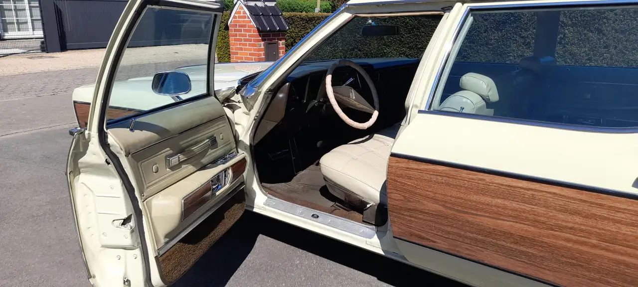 Oldsmobile Custom Cruiser, foto 6