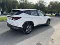 Hyundai TUCSON 1.6 TGDI Klass 4x2 Blanc - thumbnail 4