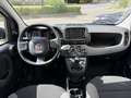 Fiat Panda 1.0 hybrid City Cross s&s 70cv Bianco - thumbnail 5