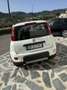 Fiat Panda 1.0 hybrid City Cross s&s 70cv Bianco - thumbnail 12