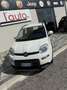 Fiat Panda 1.0 hybrid City Cross s&s 70cv Bianco - thumbnail 10