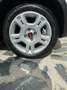 Fiat Panda 1.0 hybrid City Cross s&s 70cv Bianco - thumbnail 13
