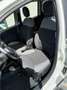 Fiat Panda 1.0 hybrid City Cross s&s 70cv Bianco - thumbnail 7