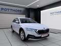 Skoda Octavia Combi 2.0 TDI DSG 4x4 SCOUT STANDHZG MAT Weiß - thumbnail 6