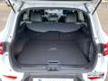 Renault Kadjar TCE 160 AT Black Edition Alcantara AHK Bianco - thumbnail 14