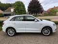 Audi Q3 Q3 2.0 TDI Blanc - thumbnail 5