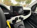 Fiat Panda Pandina Cross Hybrid PDC Tempomat Klima Blau - thumbnail 14