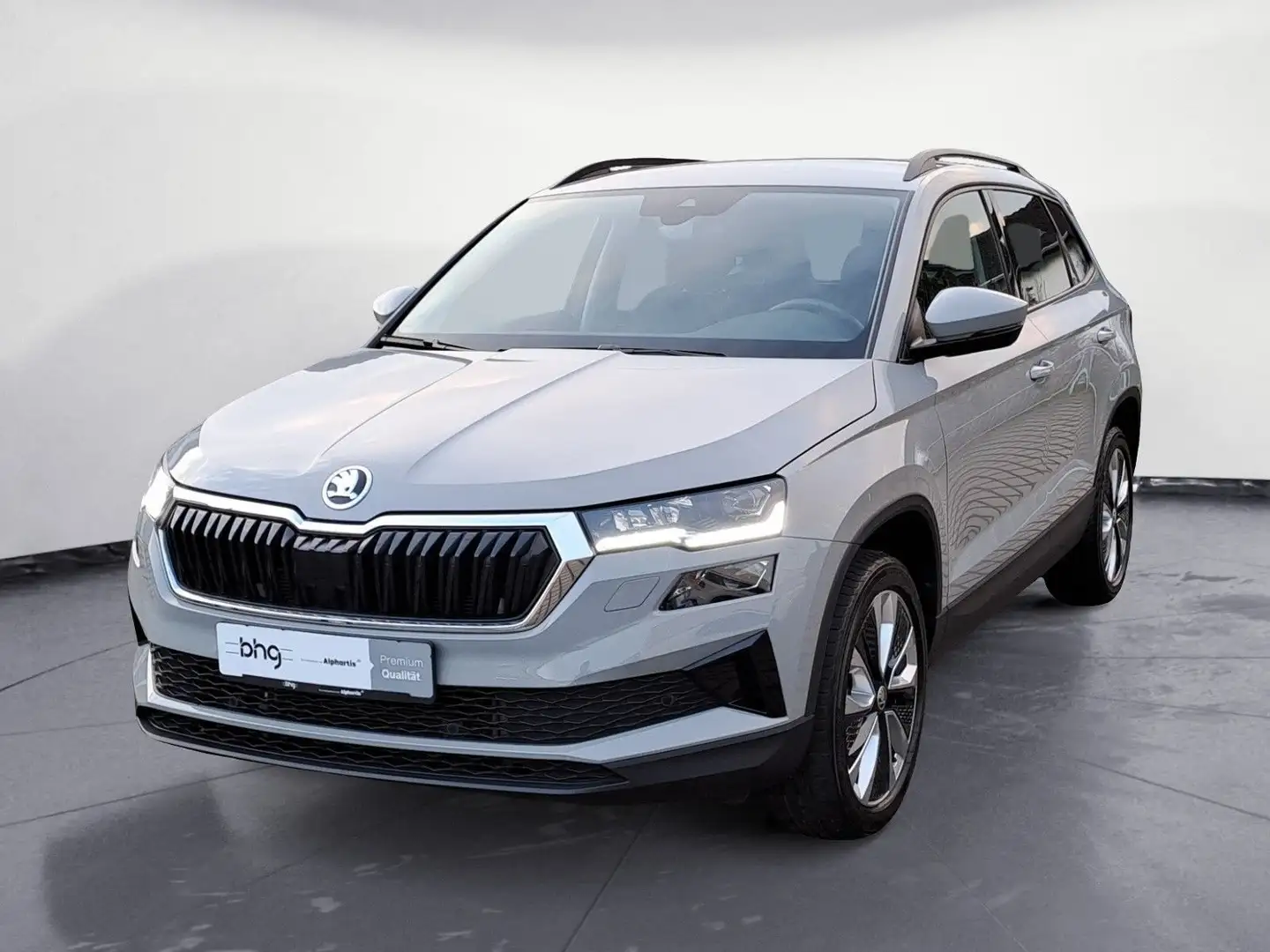 Skoda Karoq 1.5 TSI DSG Style *LED*ISOFIX*NAVI* Grau - 1