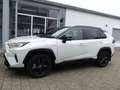 Toyota RAV 4 4 HSD Navi LED Teilleder CarPlay PDC Anhängek Blanc - thumbnail 3