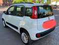 Fiat Panda 1.4 natural power Classic - thumbnail 10