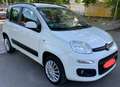 Fiat Panda 1.4 natural power Classic - thumbnail 13
