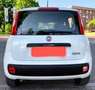 Fiat Panda 1.4 natural power Classic - thumbnail 5