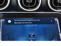 Mercedes-Benz C 180 Avantgarde Advanced Plus (Memo Spur Ambien Gris - thumbnail 37