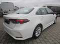 Toyota Corolla 1.5 Comfort,Kamera,LED,Klimatronic Blanco - thumbnail 5