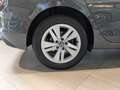 Volkswagen Golf VII 1.5 l 110 kW MHEV Life Grey - thumbnail 7
