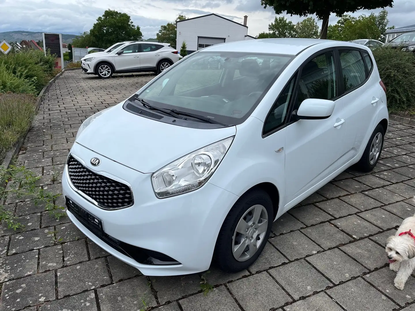 Kia Venga Edition 7 Weiß - 1