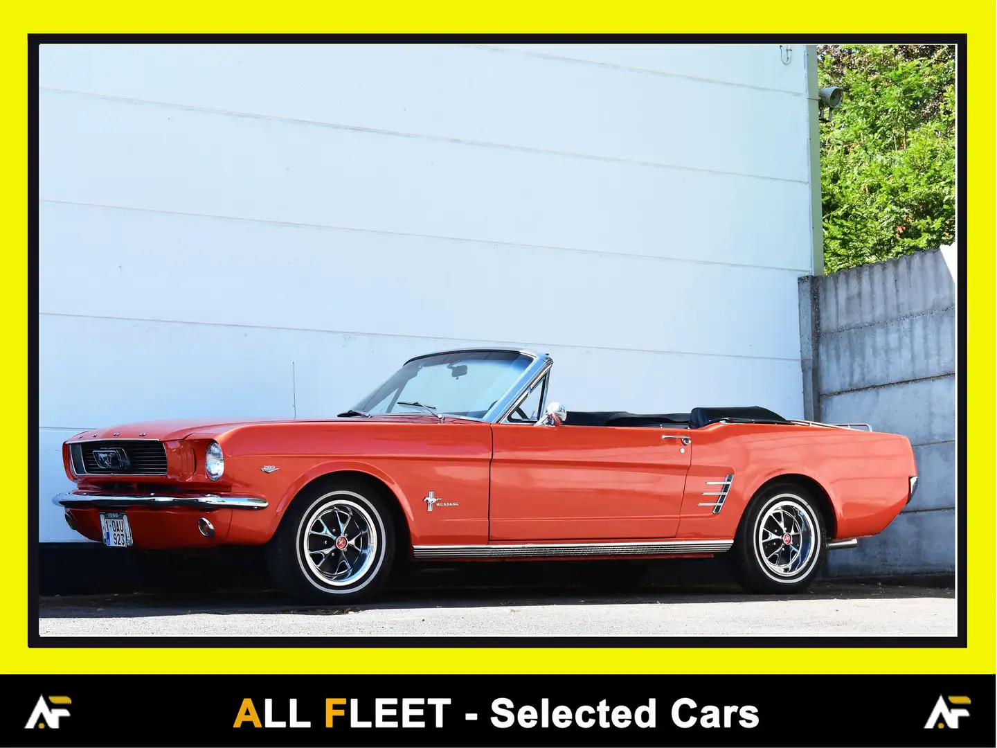 Ford Mustang 289 V8 - TOP CONDITION - FULL RESTORED Oranje - 1
