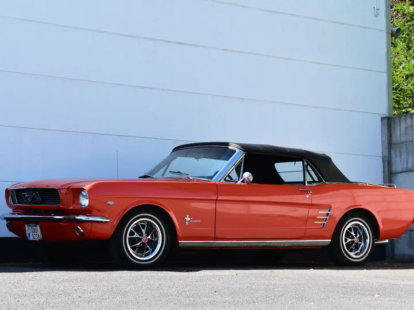 Ford Mustang 289 V8 - TOP CONDITION - FULL RESTORED Oranje - 2