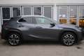 Lexus UX 250h Style Edition Grau - thumbnail 6
