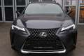 Lexus UX 250h Style Edition Grau - thumbnail 8