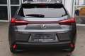 Lexus UX 250h Style Edition Grau - thumbnail 4