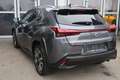 Lexus UX 250h Style Edition Grau - thumbnail 3