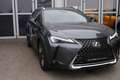 Lexus UX 250h Style Edition Grau - thumbnail 7