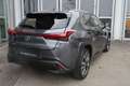 Lexus UX 250h Style Edition Grau - thumbnail 5