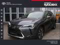 Lexus UX 250h Style Edition Grau - thumbnail 1