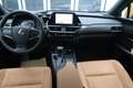 Lexus UX 250h Style Edition Grau - thumbnail 10