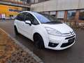 Citroen C4 Picasso Tendance Weiß - thumbnail 3