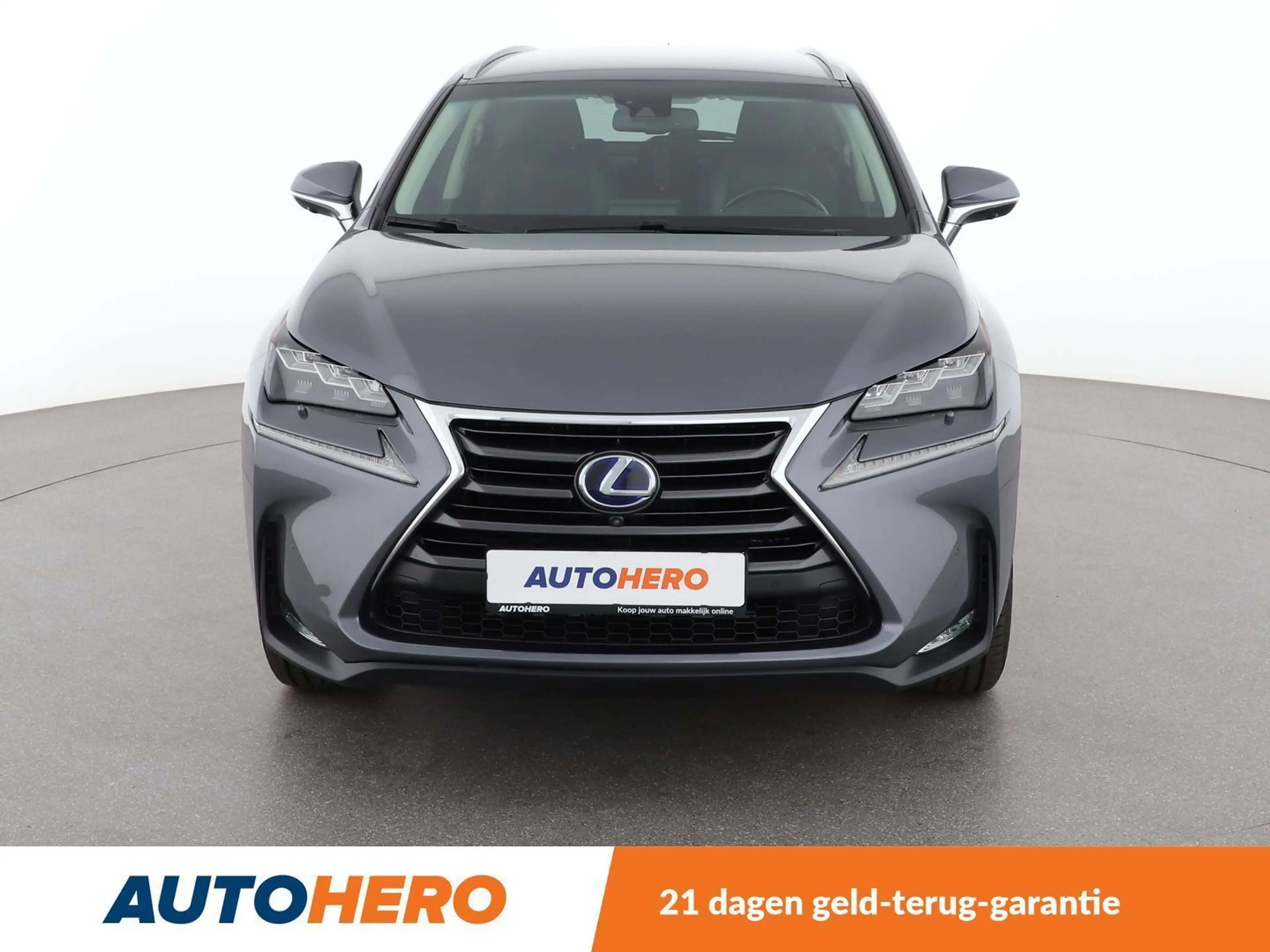 Lexus NX 300h NX 300h E-Four — photo 9
