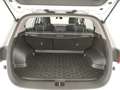 Kia Sportage 1.6 crdi mhev Black Edition 2wd Bianco - thumbnail 4